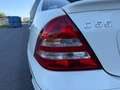 Mercedes-Benz C 55 AMG Classe C 55 AMG A Weiß - thumbnail 30