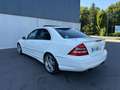 Mercedes-Benz C 55 AMG Classe C 55 AMG A Weiß - thumbnail 7