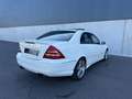 Mercedes-Benz C 55 AMG Classe C 55 AMG A Weiß - thumbnail 4