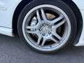 Mercedes-Benz C 55 AMG Classe C 55 AMG A Weiß - thumbnail 17