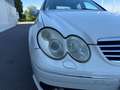 Mercedes-Benz C 55 AMG Classe C 55 AMG A Weiß - thumbnail 36