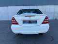 Mercedes-Benz C 55 AMG Classe C 55 AMG A Alb - thumbnail 10