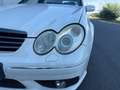 Mercedes-Benz C 55 AMG Classe C 55 AMG A Weiß - thumbnail 31