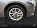 Mercedes-Benz A 250 e STYLE+AHK+LED+KAMERA+8G Grau - thumbnail 6