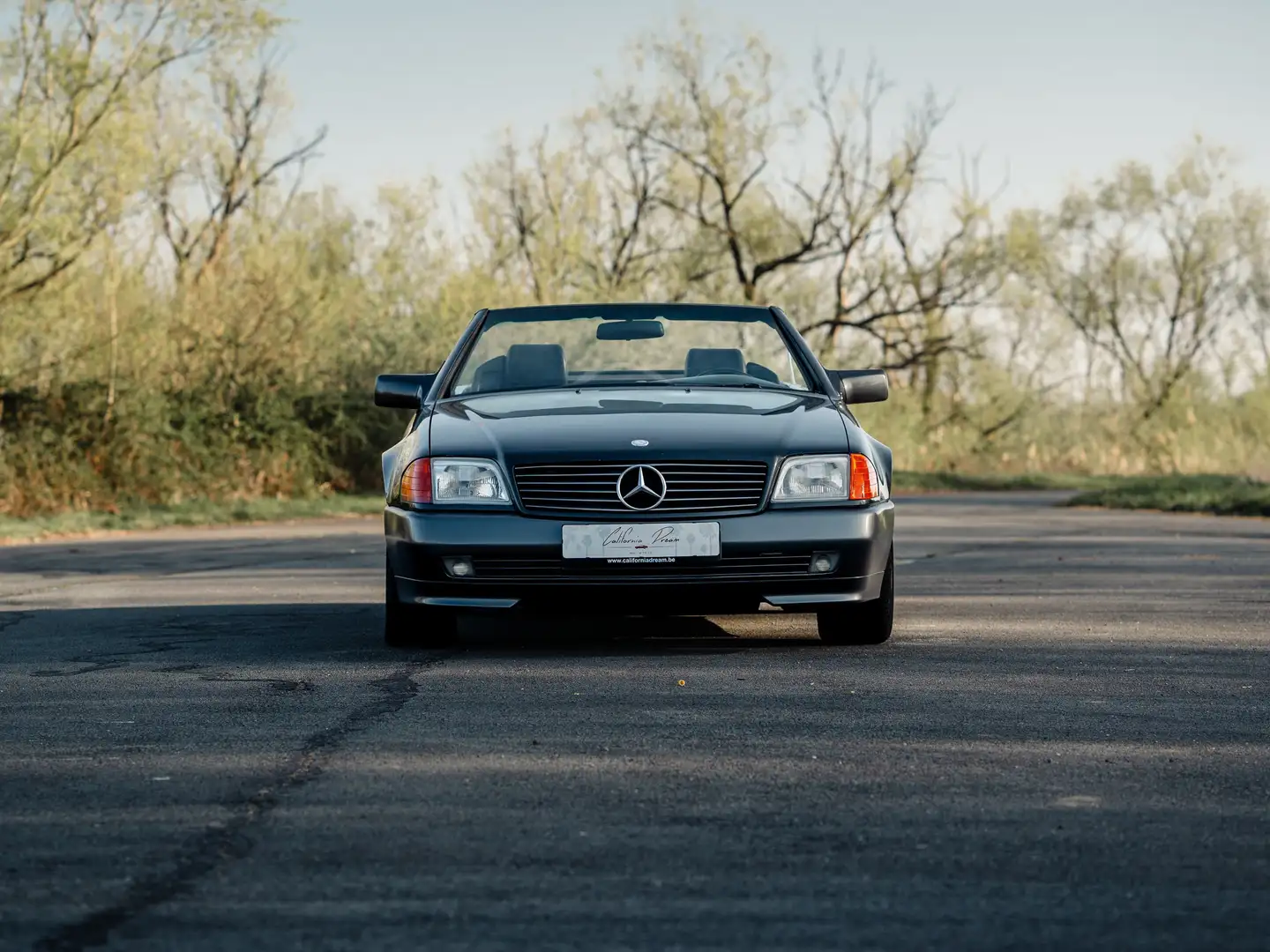 Mercedes-Benz SL 300 Argent - 2