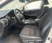 Lexus NX 300 300h Corporate 2WD + Navibox Blanco - thumbnail 11