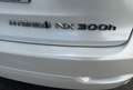 Lexus NX 300 300h Corporate 2WD + Navibox Blanco - thumbnail 21
