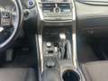 Lexus NX 300 300h Corporate 2WD + Navibox Blanco - thumbnail 17