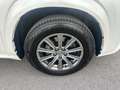 Lexus NX 300 300h Corporate 2WD + Navibox Blanco - thumbnail 22