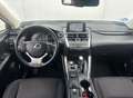 Lexus NX 300 300h Corporate 2WD + Navibox Blanco - thumbnail 6