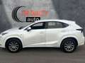 Lexus NX 300 300h Corporate 2WD + Navibox Blanco - thumbnail 3