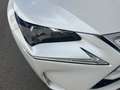 Lexus NX 300 300h Corporate 2WD + Navibox Blanco - thumbnail 19