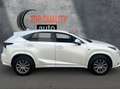 Lexus NX 300 300h Corporate 2WD + Navibox Blanco - thumbnail 4