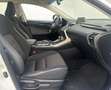 Lexus NX 300 300h Corporate 2WD + Navibox Blanco - thumbnail 8