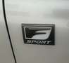 Lexus NX 300 300h Corporate 2WD + Navibox Blanco - thumbnail 20