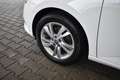 Skoda Fabia Combi 1.0 TSI Ambition AHK LM-Felgen Weiß - thumbnail 2