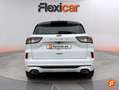 Ford Kuga ST-Line+1.5T+EcoBoost+110kW+%28150CV%29 Blanc - thumbnail 7