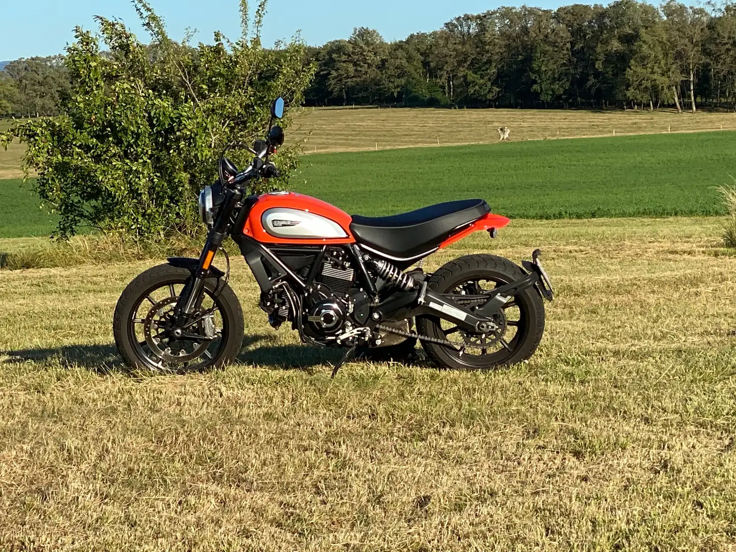 Ducati Scrambler Icon 800 Orange - 1