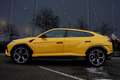 Lamborghini Urus 4.0 V8 Performante Carbon B&O Advanced Gelb - thumbnail 33
