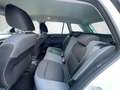 Skoda Fabia Combi 1.0 TSI - Ambition Einparkhilfe Blanc - thumbnail 12