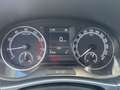 Skoda Fabia Combi 1.0 TSI - Ambition Einparkhilfe Blanc - thumbnail 11
