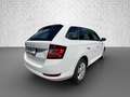 Skoda Fabia Combi 1.0 TSI - Ambition Einparkhilfe Blanc - thumbnail 5
