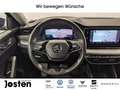 Skoda Octavia Combi 1.5 e-TEC Matrix e-Sitz CarPlay ACC Blau - thumbnail 12