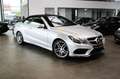 Mercedes-Benz E 250 CABRIO *AMG-SPORTPAKET*+LED+R-KAMERA+LEDER Silber - thumbnail 16