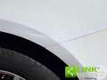 Audi Q5 2.0 tdi 163 CV S-Tronic Quattro Business E6 Bianco - thumbnail 12