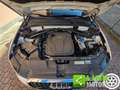Audi Q5 2.0 tdi 163 CV S-Tronic Quattro Business E6 Bianco - thumbnail 14