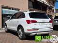 Audi Q5 2.0 tdi 163 CV S-Tronic Quattro Business E6 Bianco - thumbnail 3