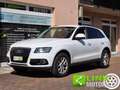 Audi Q5 2.0 tdi 163 CV S-Tronic Quattro Business E6 Bianco - thumbnail 1