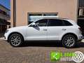 Audi Q5 2.0 tdi 163 CV S-Tronic Quattro Business E6 Bianco - thumbnail 7