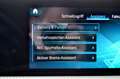 Mercedes-Benz A 220 A 220 Edition 19 Automatik AutoAC Navi Park-Ass RFK LED Alb - thumbnail 18