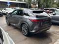 Lexus RX 350h 350h Premium Hybrid Executive Grau - thumbnail 5