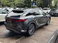 Lexus RX 350h 350h Premium Hybrid Executive Grau - thumbnail 6