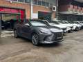 Lexus RX 350h 350h Premium Hybrid Executive Grau - thumbnail 2