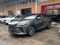 Lexus RX 350h 350h Premium Hybrid Executive Grau - thumbnail 3