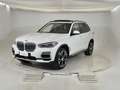 BMW X5 X5 xDrive30d xLine Wit - thumbnail 1