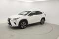 Lexus NX 300h NXH PREMIUM PLUS 2.5 HYBRID 197 CV AUTO 5P 4WD Blanco - thumbnail 4
