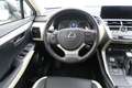 Lexus NX 300h NXH PREMIUM PLUS 2.5 HYBRID 197 CV AUTO 5P 4WD Blanco - thumbnail 12