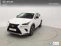 Lexus NX 300h NXH PREMIUM PLUS 2.5 HYBRID 197 CV AUTO 5P 4WD Blanco - thumbnail 1