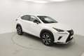 Lexus NX 300h NXH PREMIUM PLUS 2.5 HYBRID 197 CV AUTO 5P 4WD Blanco - thumbnail 6