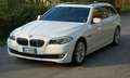 BMW 520 Serie 5 F11 Touring 520d Touring Bianco - thumbnail 1