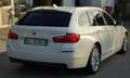 BMW 520 Serie 5 F11 Touring 520d Touring Bianco - thumbnail 4