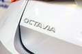 Skoda Octavia Combi 2.0TDI Ambition 85kW Gris - thumbnail 12