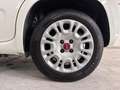 Fiat Panda Hybrid 1.0 Gse 51kw (70CV) Blanco - thumbnail 8