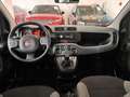Fiat Panda Hybrid 1.0 Gse 51kw (70CV) Blanco - thumbnail 12
