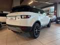 Land Rover Range Rover Evoque Range Rover Evoque 2.0D I4-L.Flw 150 CV R-Dynamic Bianco - thumbnail 3