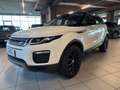 Land Rover Range Rover Evoque Range Rover Evoque 2.0D I4-L.Flw 150 CV R-Dynamic Bianco - thumbnail 1